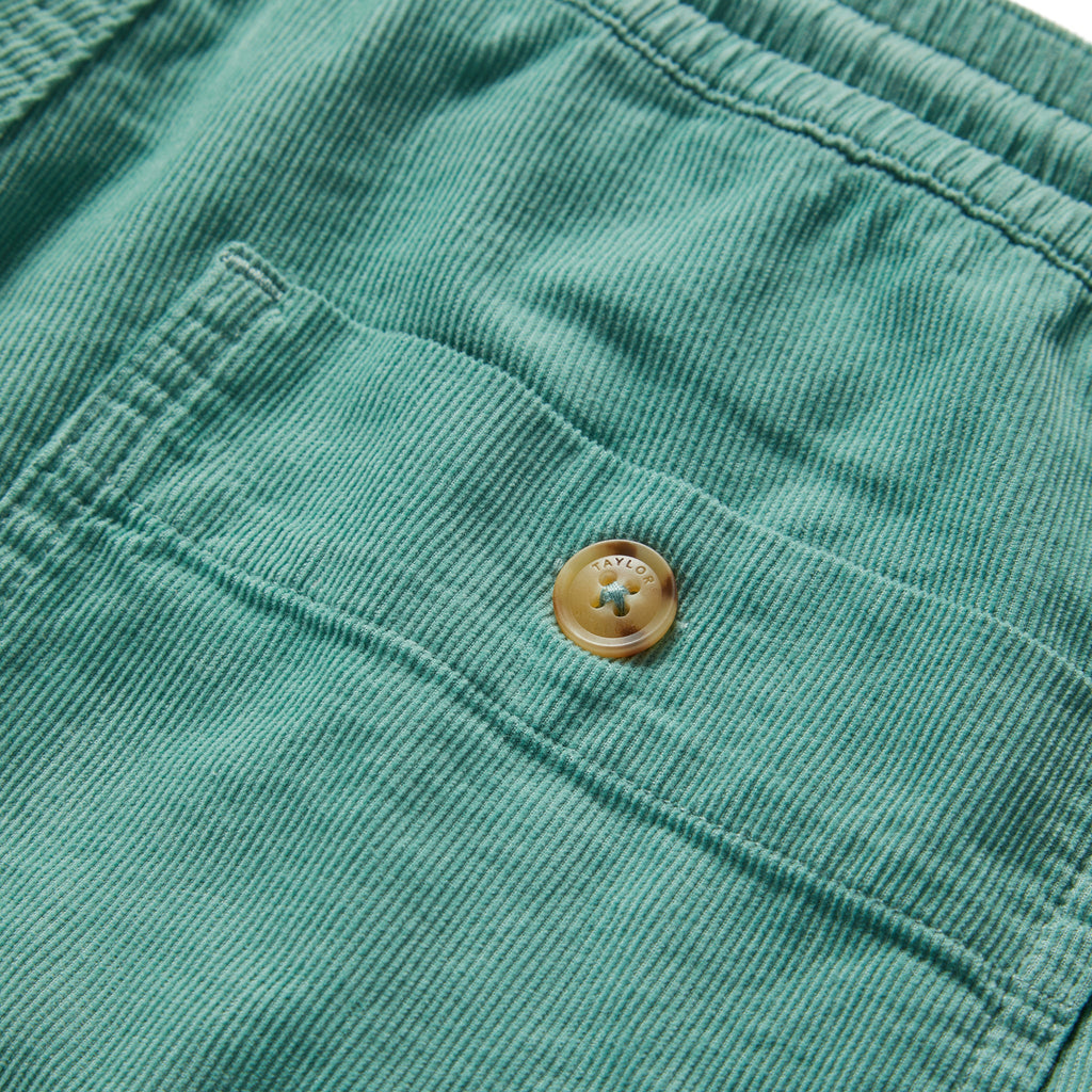The Apres Short in Ocean Pinwale