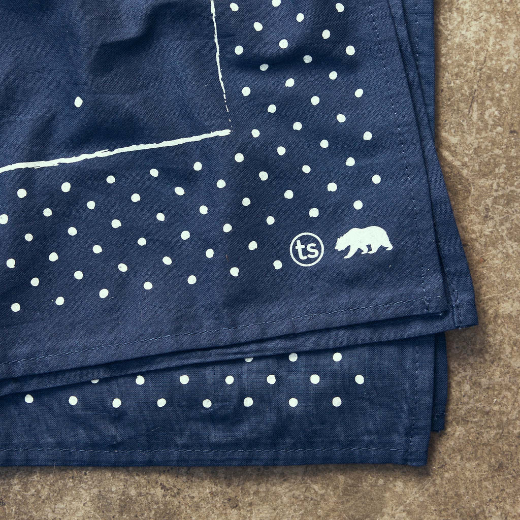 The Bandana in Heritage Blue