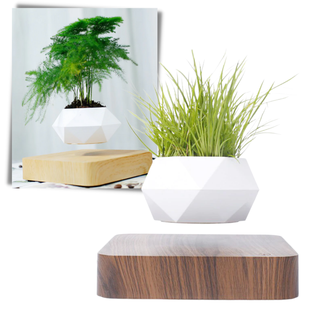 Levitating air pot plant