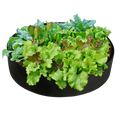 Multipurpose Breathable Planting Bags