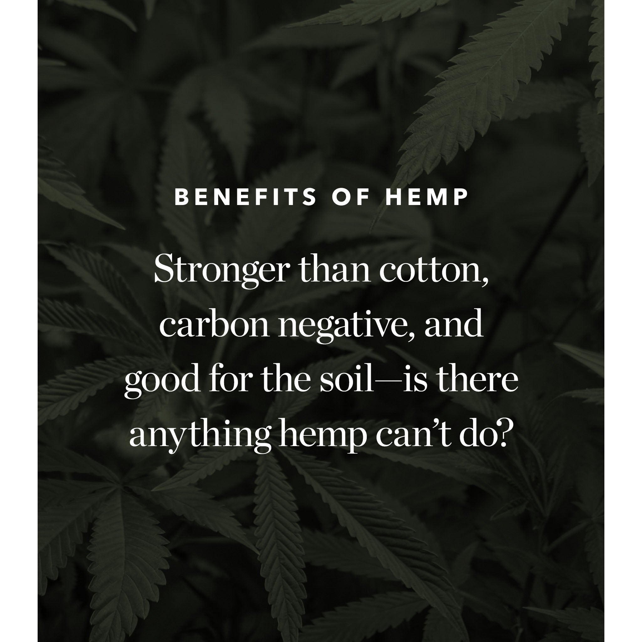Spacer - Hemp Shop 03